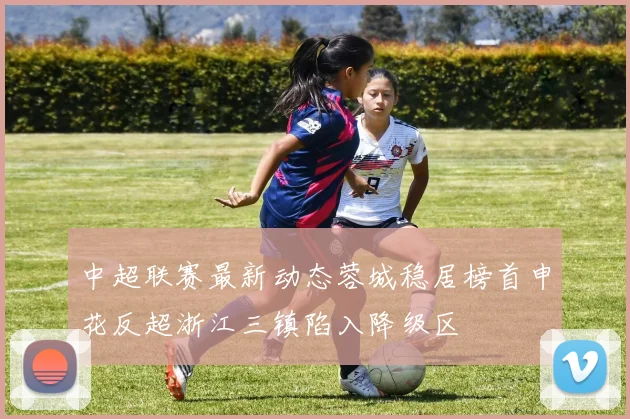 中超联赛最新动态蓉城稳居榜首申花反超浙江三镇陷入降级区